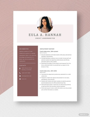 Credit Underwriter Resume