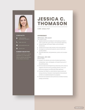 CRM Analyst Resume