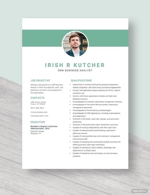CRM Business Analyst Resume