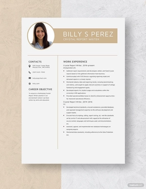 Crystal Report Writer Resume