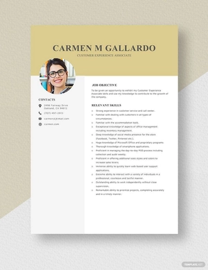 Customer Experience Associate Resume