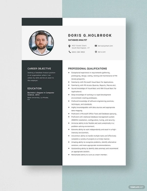 Database Analyst Resume