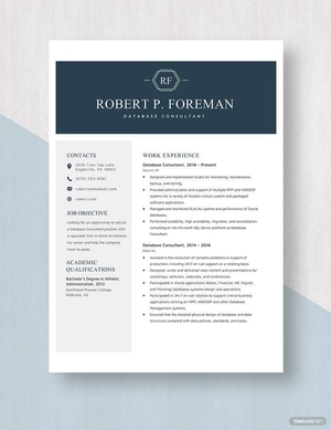 Database Consultant Resume