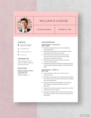 Database Designer Resume