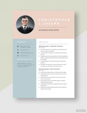 Database Developer Resume