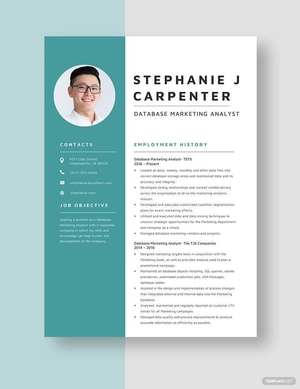 Database Marketing Analyst Resume