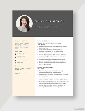 Database Report Writer Resume