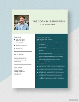 DB2 Developer Resume