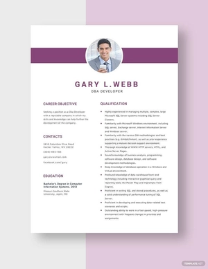DBA Developer Resume