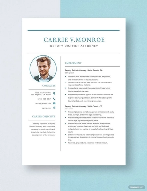 Deputy District Attorney Resume