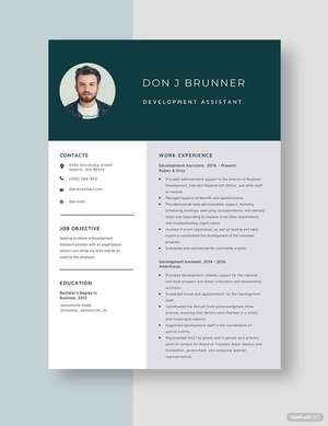 Development Assistant Resume