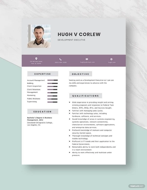 Development Executive Resume