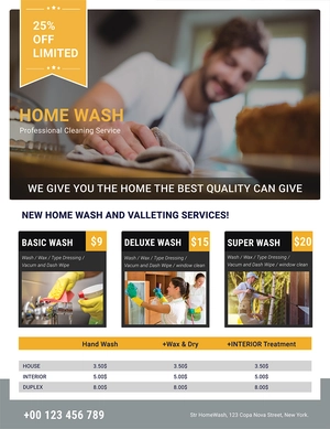 Professional Cleaning Services Flyer Template