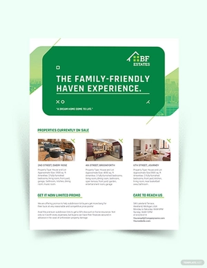 Subdivision Agent/ Agency Flyer Template
