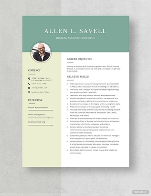 Digital Account Director Resume