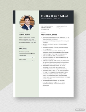 Digital Account Executive Resume