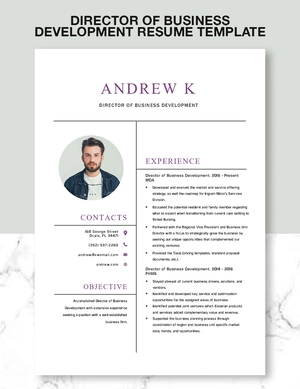 Director of Business Development Resume