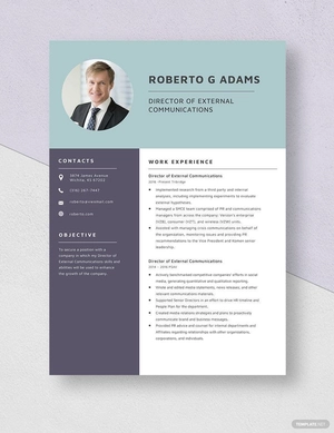 Director of External Communications Resume