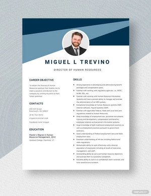 Director of Human Resources Resume