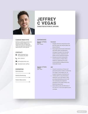 Director of Public Affairs Resume