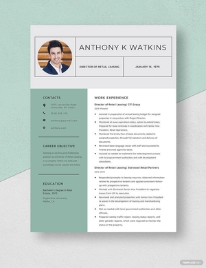 Director of Retail Leasing Resume