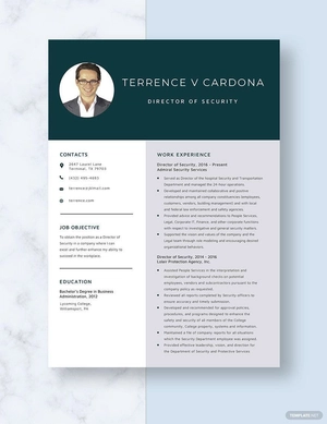 Director of Security Resume