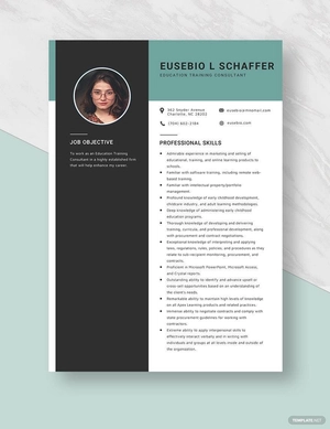 Education Training Consultant Resume