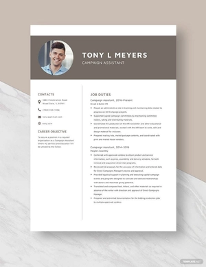 Campaign Assistant Resume