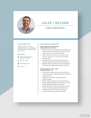 Cobol Programmer Resume