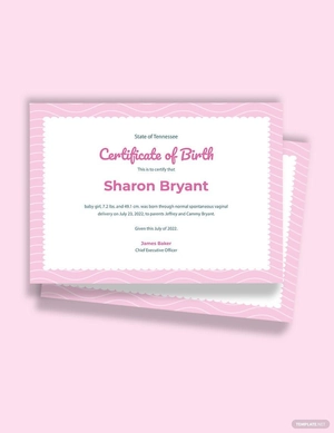 Girl Birth Certificate Template Girl Birth Certificate Template