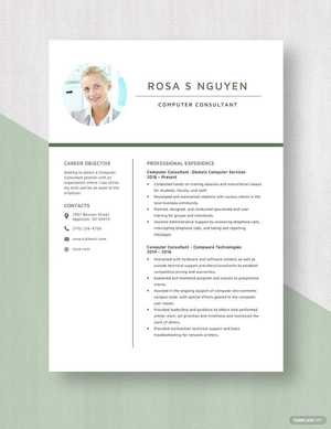 Computer Consultant Resume