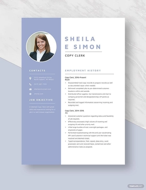 Copy Clerk Resume