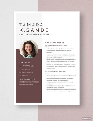 Data Processing Auditor Resume