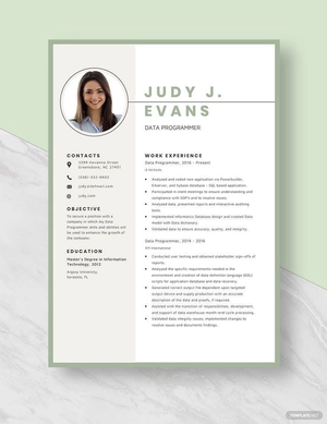 Data Programmer Resume