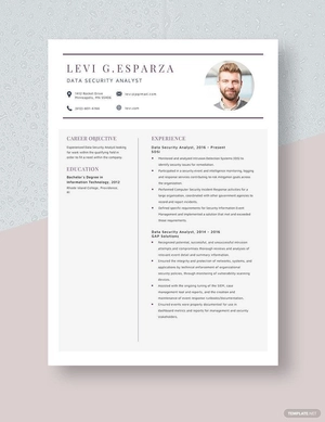 Data Security Analyst Resume