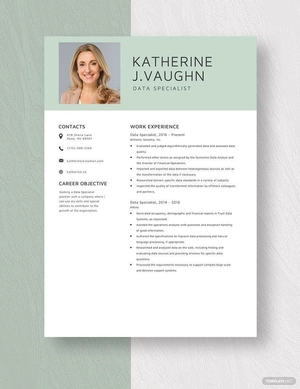 Data Specialist Resume