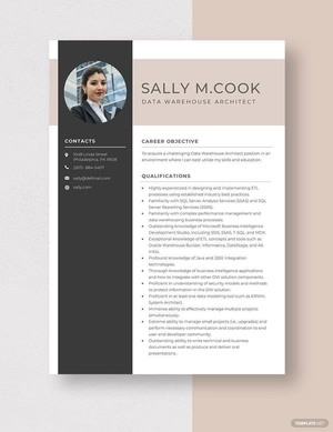 Data Warehouse Architect Resume