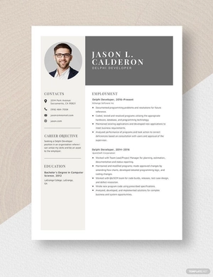 Delphi Developer Resume