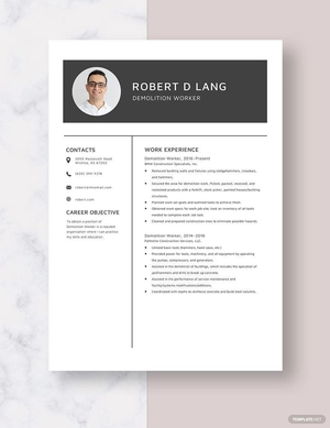 Demolition Worker Resume