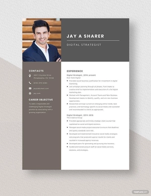 Digital Strategist Resume