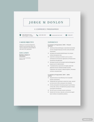 Ecommerce Programmer Resume