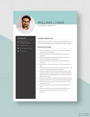 Economic Analyst Resume