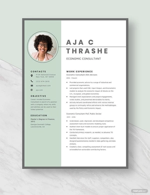 Economic Consultant Resume