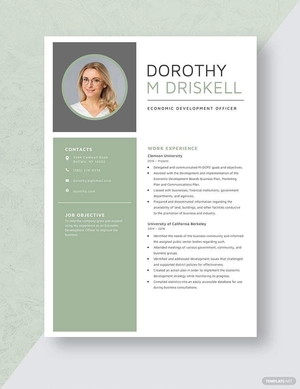 Economic Development Officer Resume
