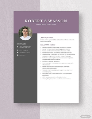 Economics Professor Resume