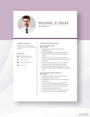 EDI Analyst Resume