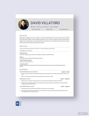 Software Developer Resume