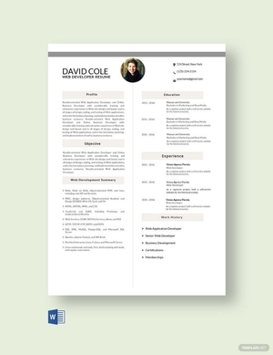 Web Application Developer Resume