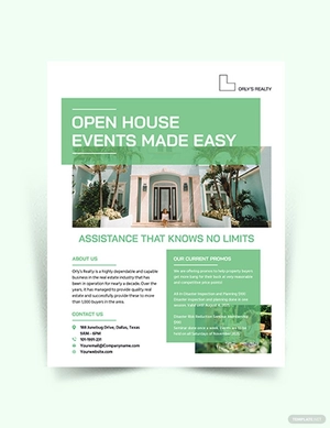 Disastor Inspection Flyer Template