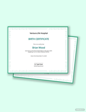 Baby Birth Certificate Template